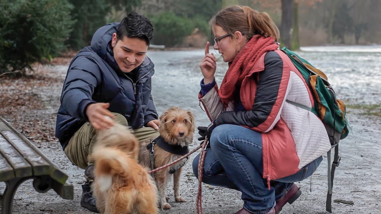 Young man and woman with two dogs