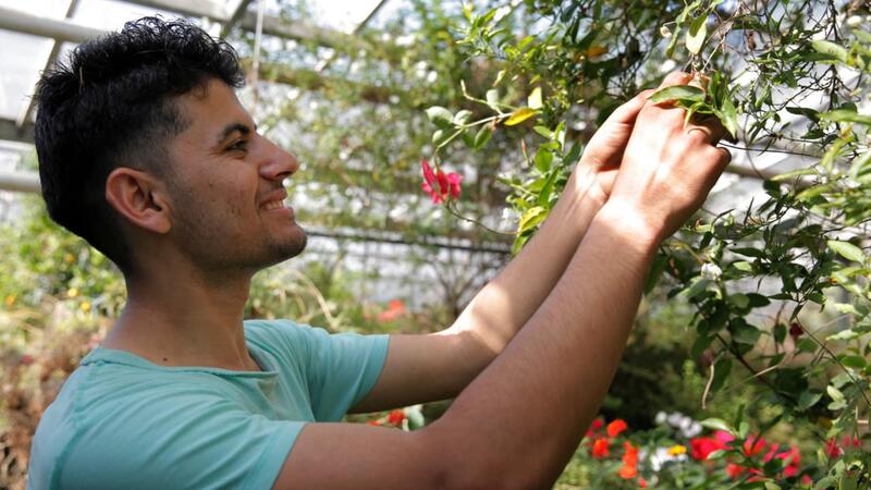 Young man working in a glasshouse